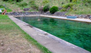 endlich mal wieder schwimmen